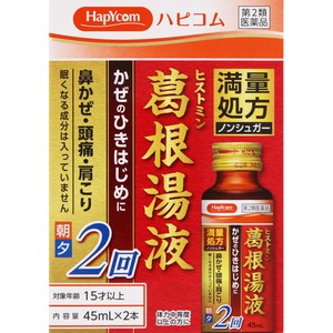 【第2類医薬品】 ヒストミン葛根湯液2 45mL×2本